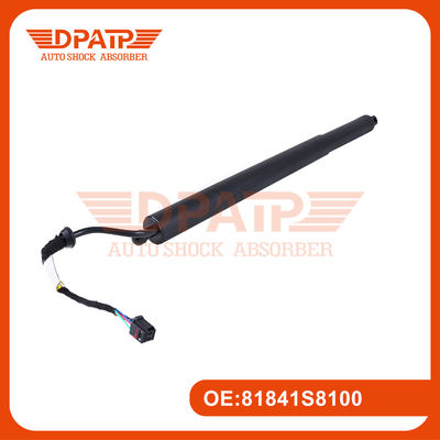 Power Liftgate Strut 81841S8100 81830S8100 For Hyundai Palisade