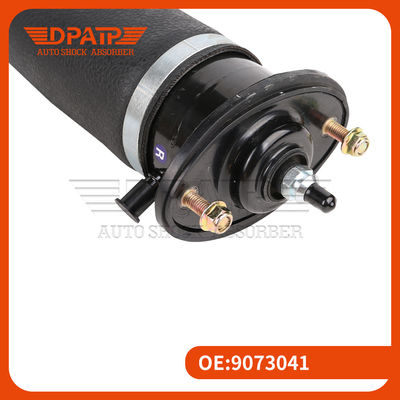 Rear Right Car Shock Absorber 9073041 Cadillac SLS Automotive Spare Parts